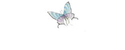 Logo Adriana Pariente
